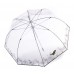 Knirps C.760 Regenschirm Stockschirm Stick transparent durchsichtig Neptun Koffer Rucksäcke & Taschen