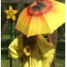 VON LILIENFELD Regenschirm Sonnenblume Auf-Automatik Windfest Leicht Stockschirm Stabil Flower Koffer Rucksäcke & Taschen